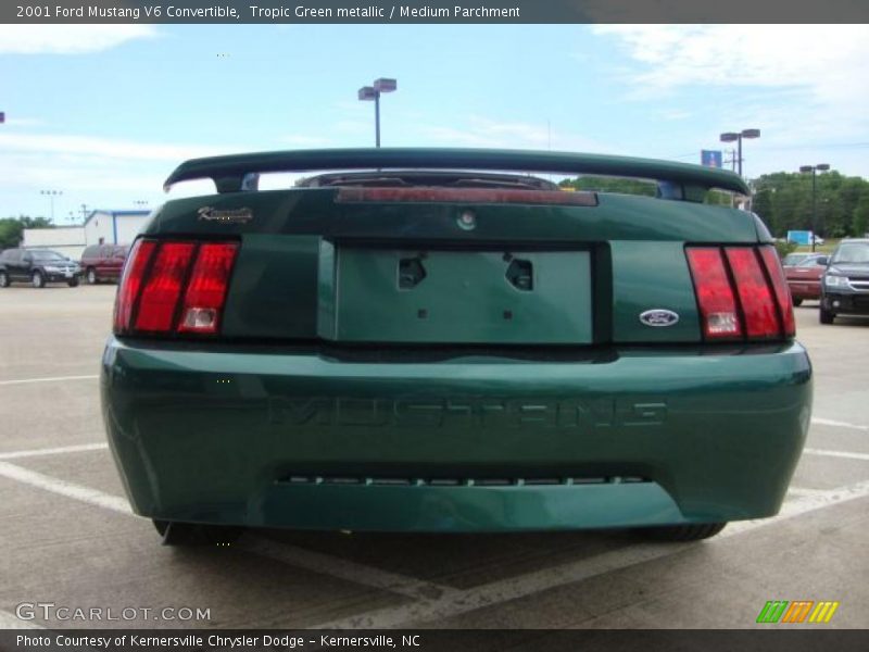 Tropic Green metallic / Medium Parchment 2001 Ford Mustang V6 Convertible