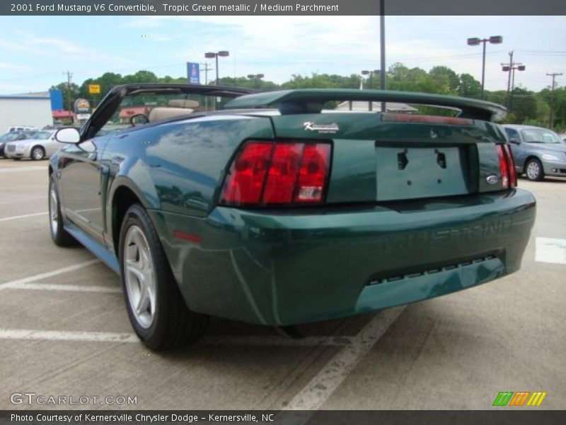 Tropic Green metallic / Medium Parchment 2001 Ford Mustang V6 Convertible