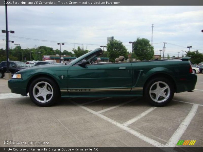 Tropic Green metallic / Medium Parchment 2001 Ford Mustang V6 Convertible