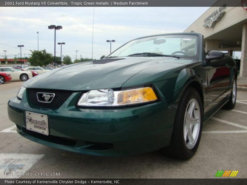 Tropic Green metallic / Medium Parchment 2001 Ford Mustang V6 Convertible