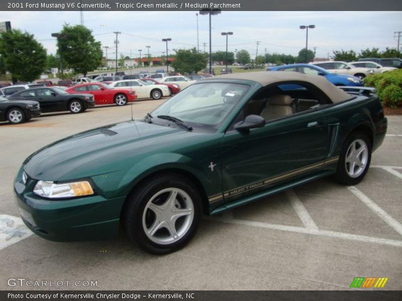 Tropic Green metallic / Medium Parchment 2001 Ford Mustang V6 Convertible