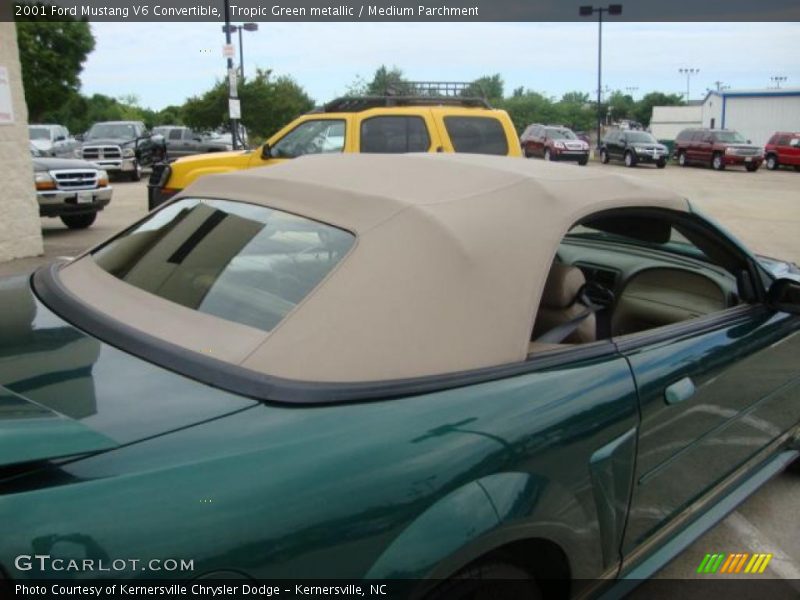 Tropic Green metallic / Medium Parchment 2001 Ford Mustang V6 Convertible