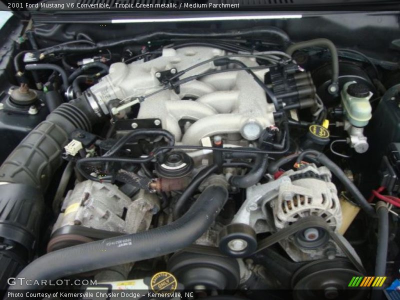 Tropic Green metallic / Medium Parchment 2001 Ford Mustang V6 Convertible