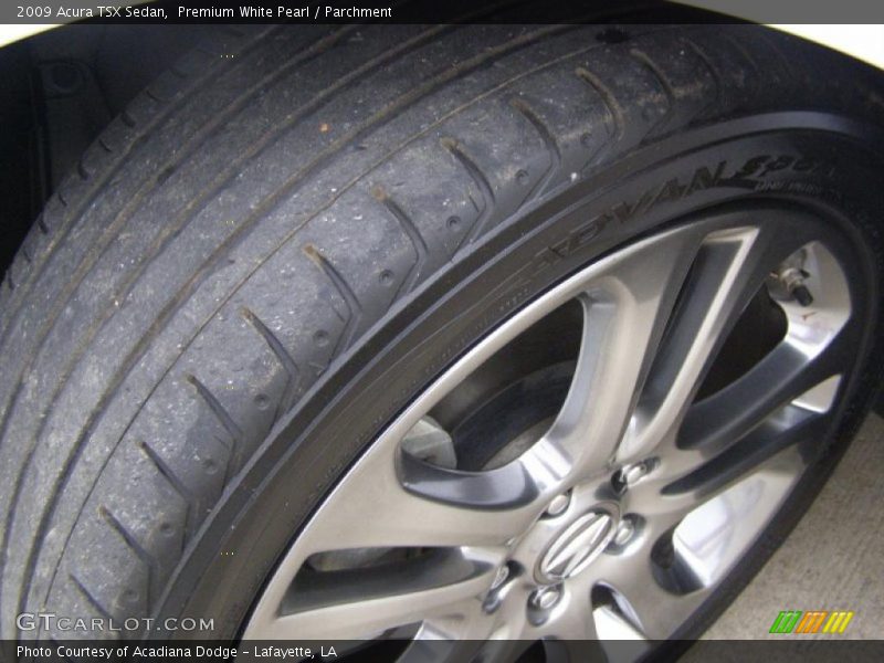 Premium White Pearl / Parchment 2009 Acura TSX Sedan