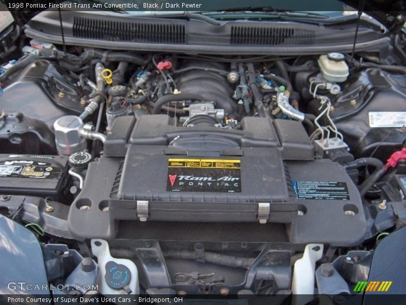 Black / Dark Pewter 1998 Pontiac Firebird Trans Am Convertible
