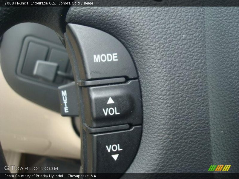 Sonora Gold / Beige 2008 Hyundai Entourage GLS