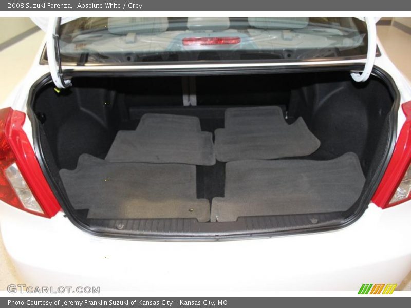 Absolute White / Grey 2008 Suzuki Forenza