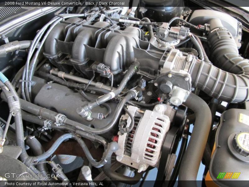 Black / Dark Charcoal 2008 Ford Mustang V6 Deluxe Convertible