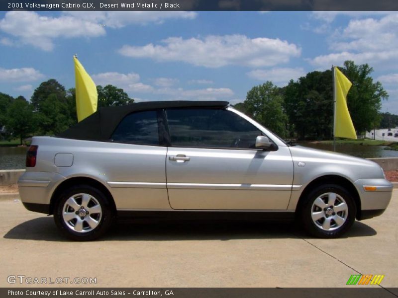 Desert Wind Metallic / Black 2001 Volkswagen Cabrio GLX