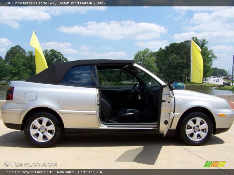 Desert Wind Metallic / Black 2001 Volkswagen Cabrio GLX