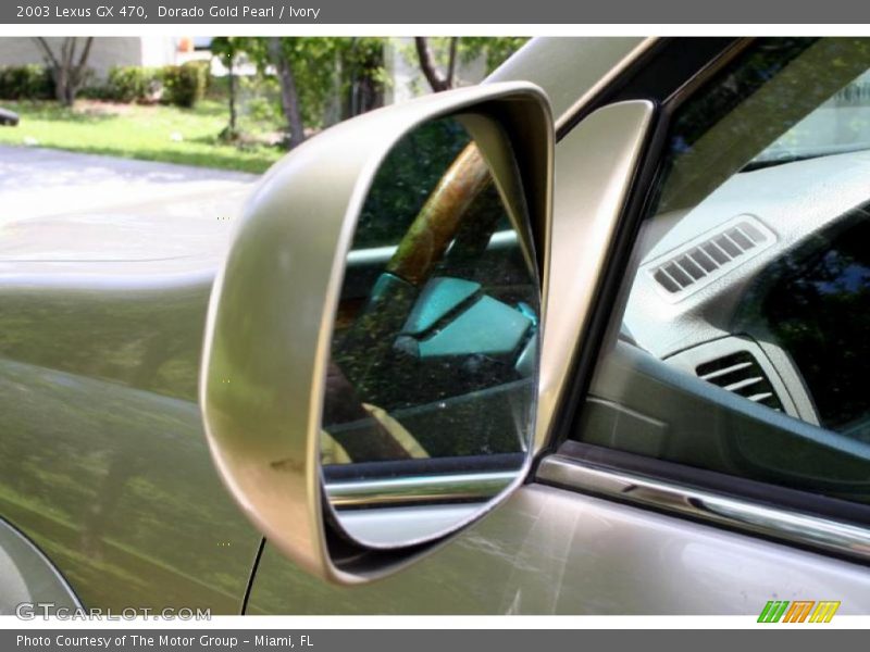 Dorado Gold Pearl / Ivory 2003 Lexus GX 470