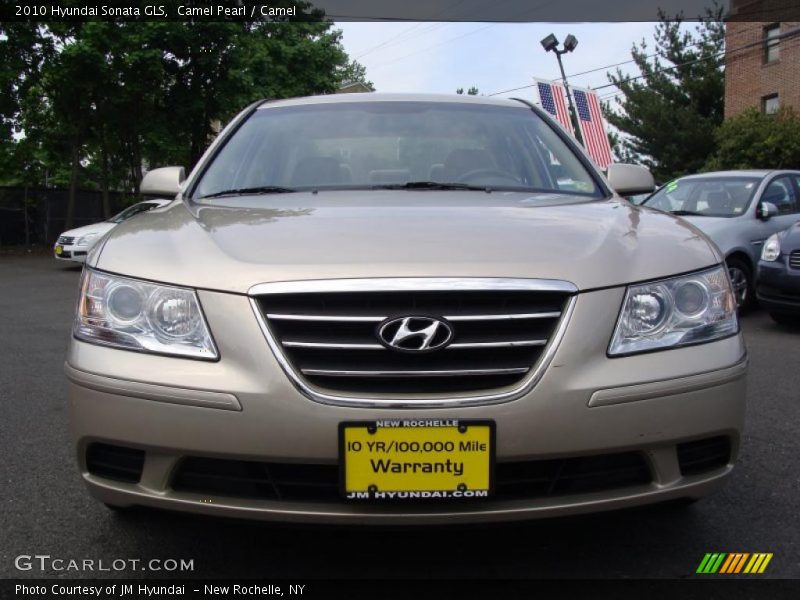 Camel Pearl / Camel 2010 Hyundai Sonata GLS