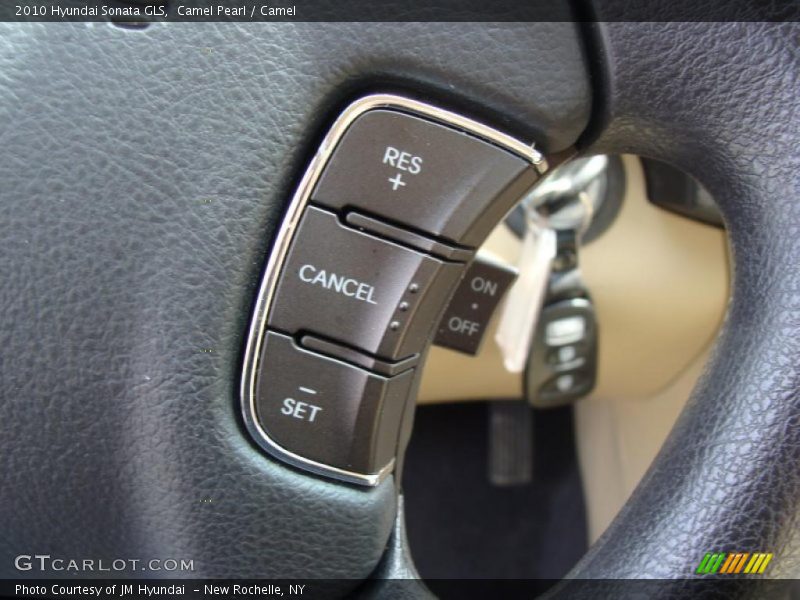 Camel Pearl / Camel 2010 Hyundai Sonata GLS