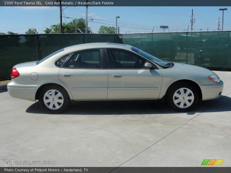 Gold Ash Metallic / Medium/Dark Pebble 2005 Ford Taurus SEL