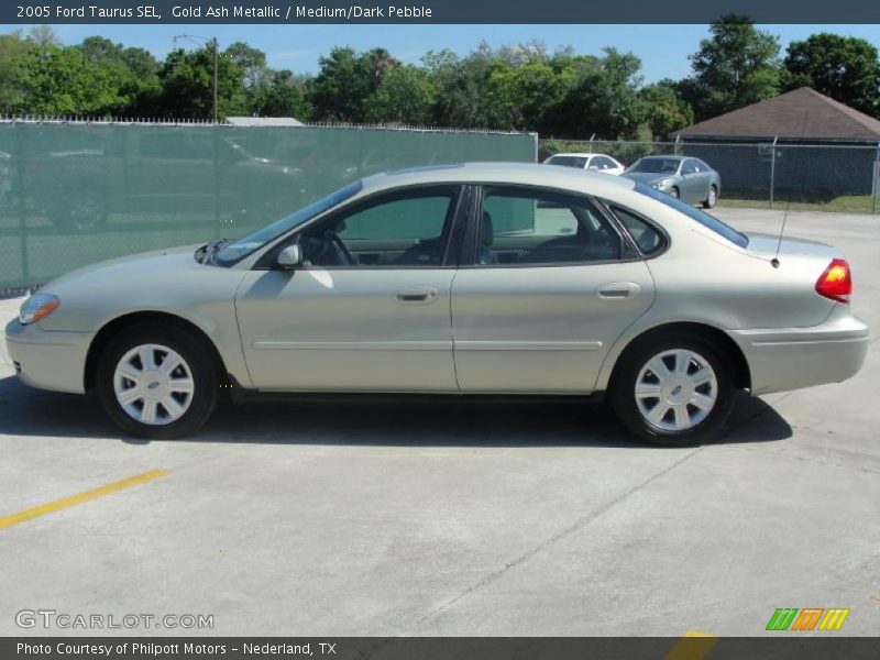 Gold Ash Metallic / Medium/Dark Pebble 2005 Ford Taurus SEL