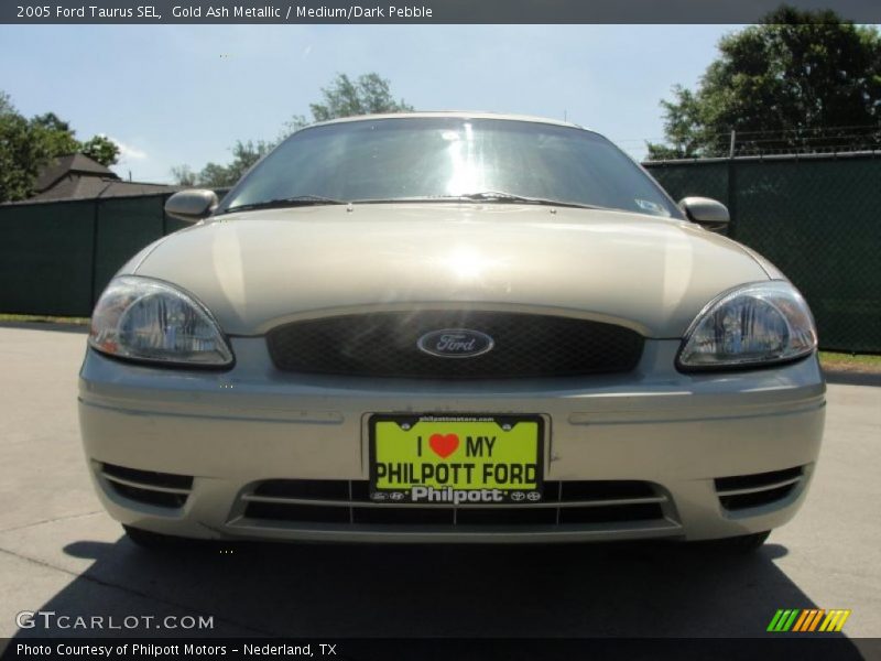 Gold Ash Metallic / Medium/Dark Pebble 2005 Ford Taurus SEL