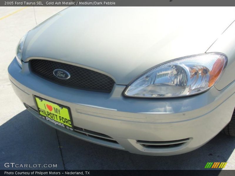 Gold Ash Metallic / Medium/Dark Pebble 2005 Ford Taurus SEL