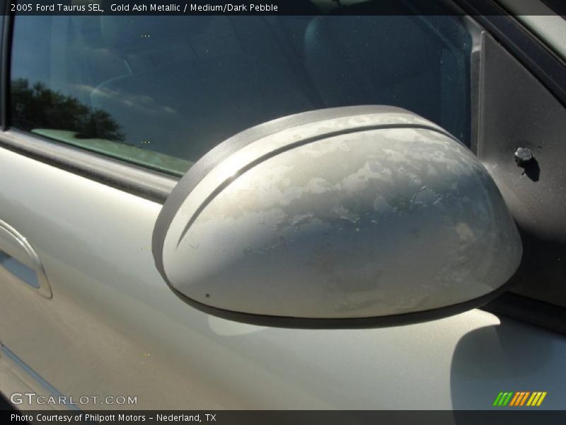 Gold Ash Metallic / Medium/Dark Pebble 2005 Ford Taurus SEL
