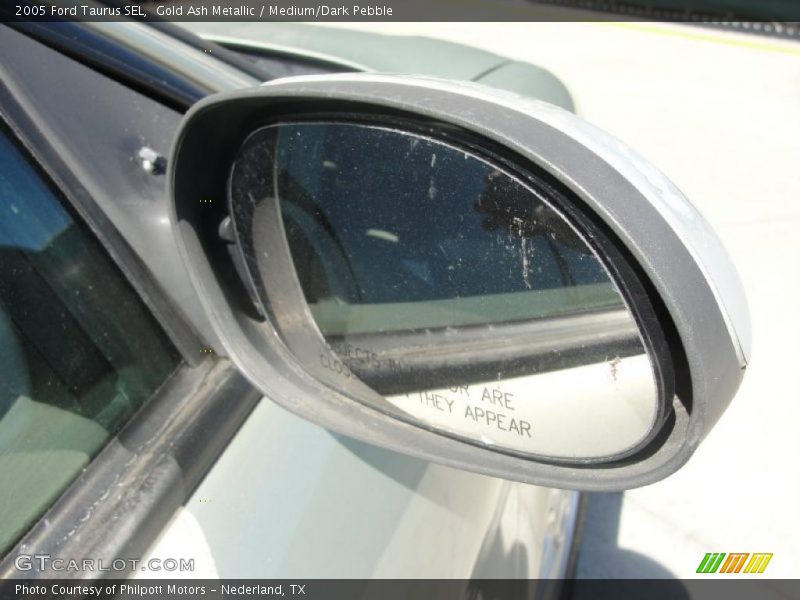 Gold Ash Metallic / Medium/Dark Pebble 2005 Ford Taurus SEL