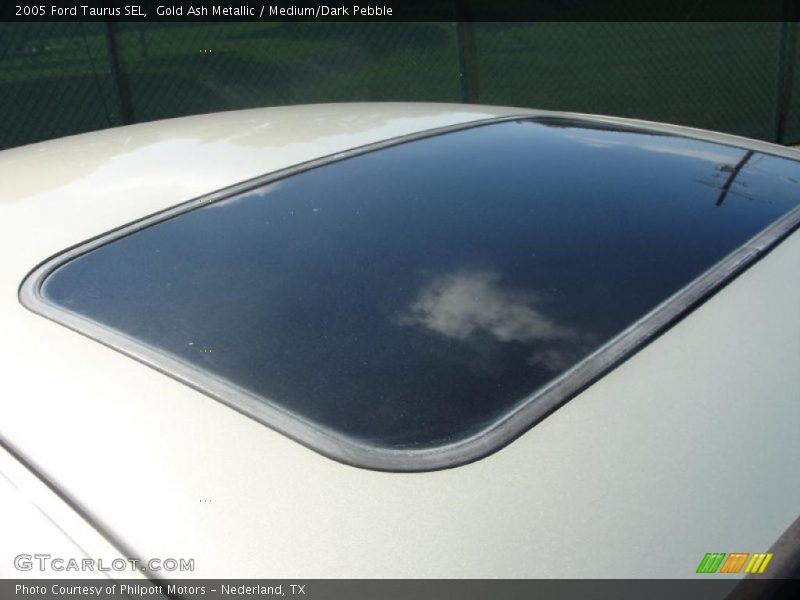 Gold Ash Metallic / Medium/Dark Pebble 2005 Ford Taurus SEL