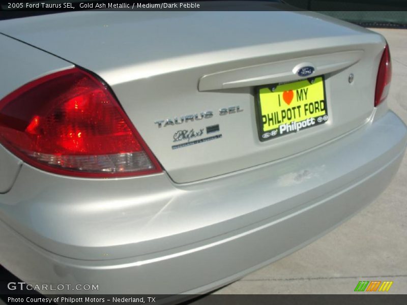 Gold Ash Metallic / Medium/Dark Pebble 2005 Ford Taurus SEL