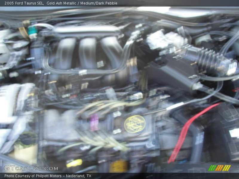 Gold Ash Metallic / Medium/Dark Pebble 2005 Ford Taurus SEL