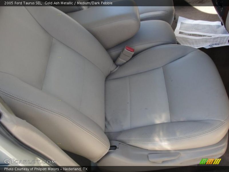 Gold Ash Metallic / Medium/Dark Pebble 2005 Ford Taurus SEL