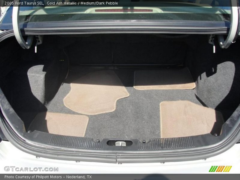 Gold Ash Metallic / Medium/Dark Pebble 2005 Ford Taurus SEL