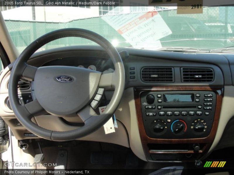 Gold Ash Metallic / Medium/Dark Pebble 2005 Ford Taurus SEL