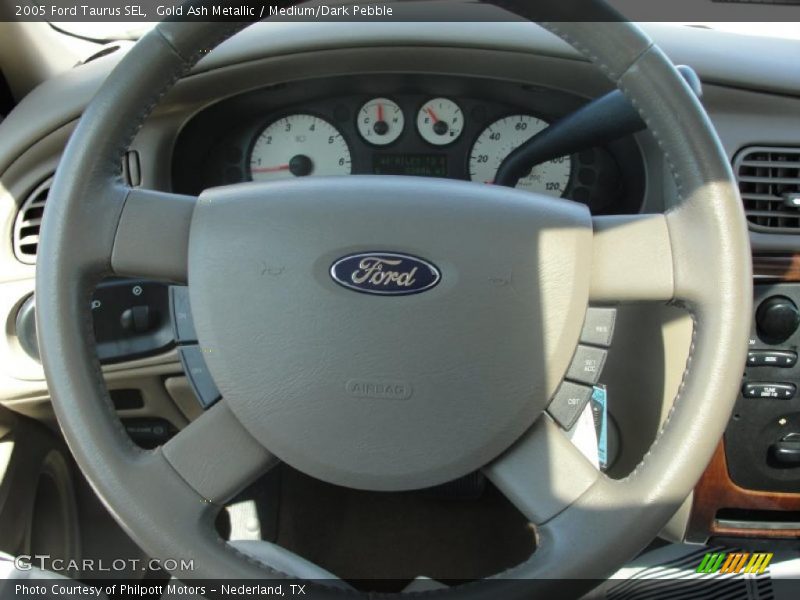 Gold Ash Metallic / Medium/Dark Pebble 2005 Ford Taurus SEL