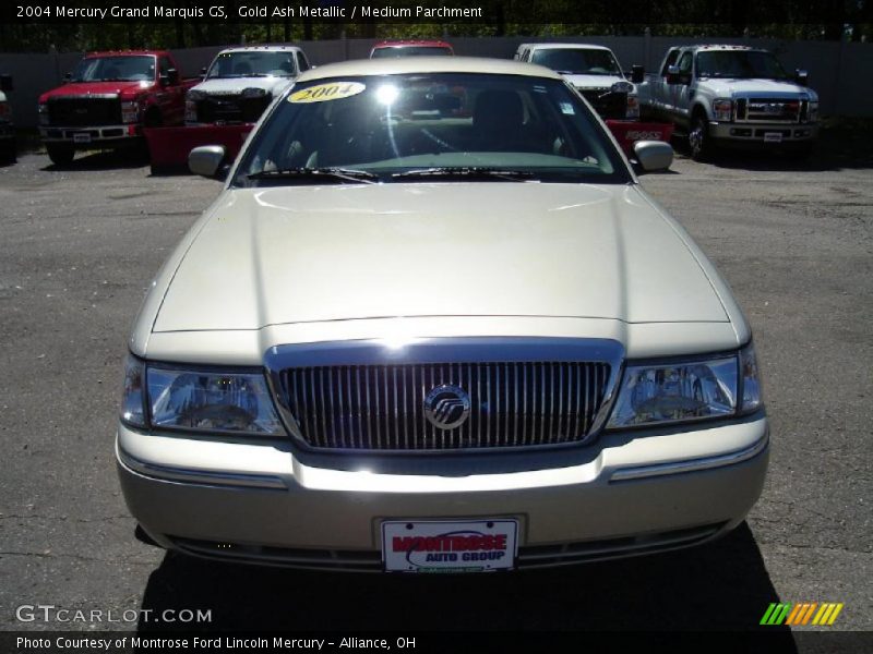 Gold Ash Metallic / Medium Parchment 2004 Mercury Grand Marquis GS