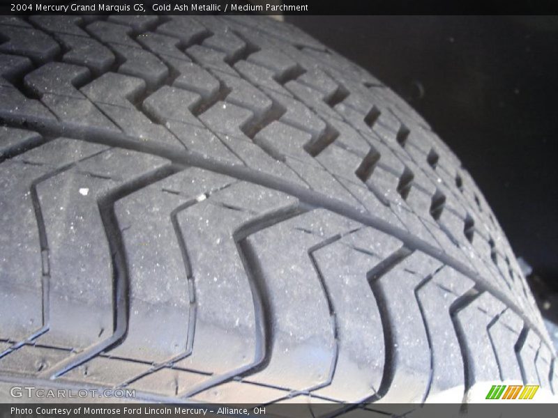 Gold Ash Metallic / Medium Parchment 2004 Mercury Grand Marquis GS