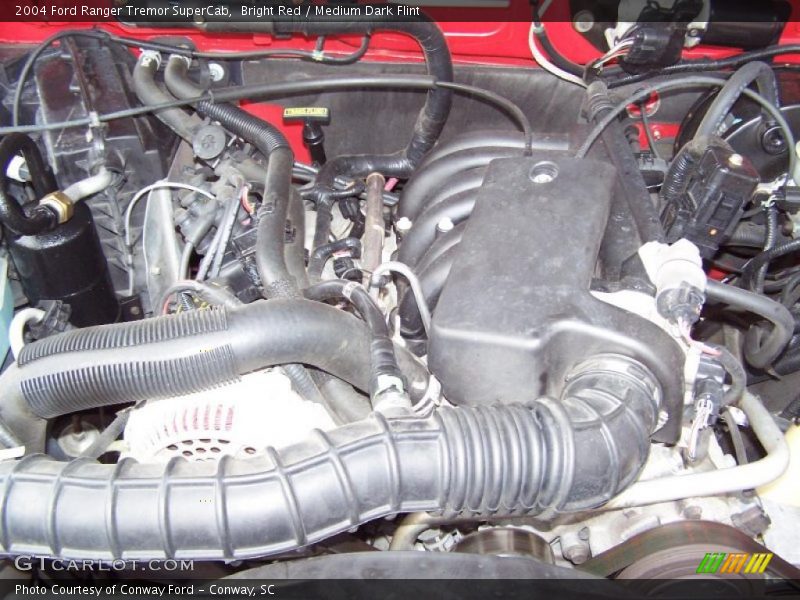 Bright Red / Medium Dark Flint 2004 Ford Ranger Tremor SuperCab