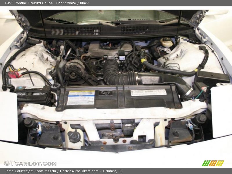 Bright White / Black 1995 Pontiac Firebird Coupe