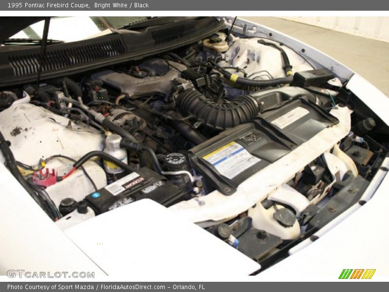 Bright White / Black 1995 Pontiac Firebird Coupe