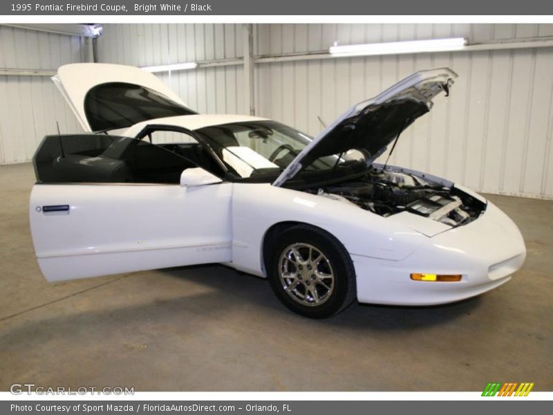 Bright White / Black 1995 Pontiac Firebird Coupe