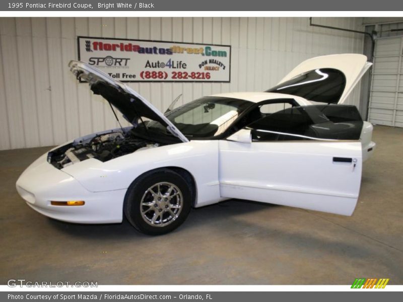 Bright White / Black 1995 Pontiac Firebird Coupe