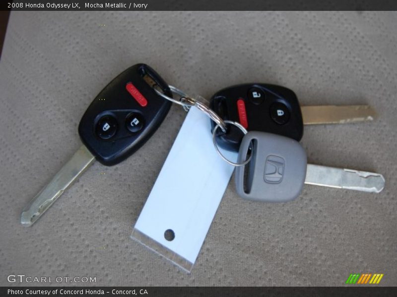 Mocha Metallic / Ivory 2008 Honda Odyssey LX