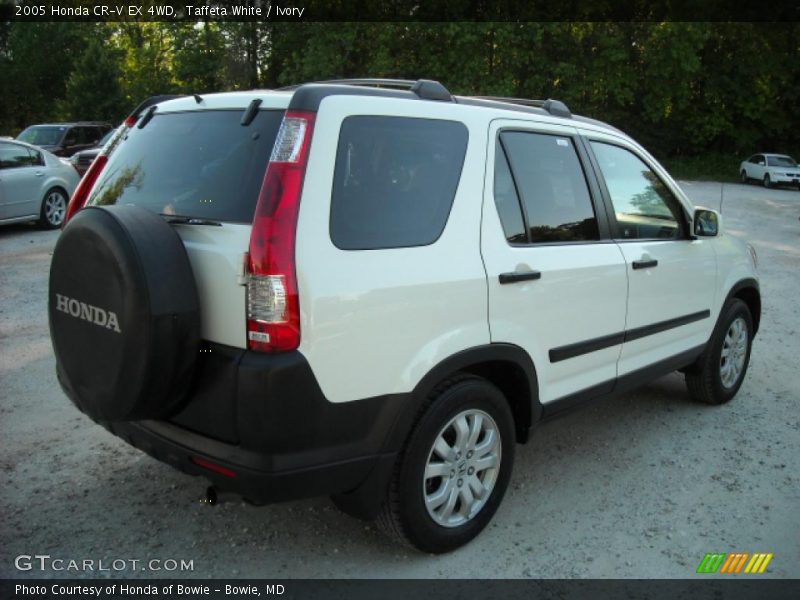 Taffeta White / Ivory 2005 Honda CR-V EX 4WD
