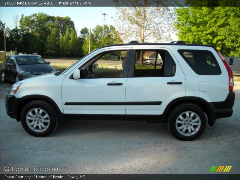 Taffeta White / Ivory 2005 Honda CR-V EX 4WD