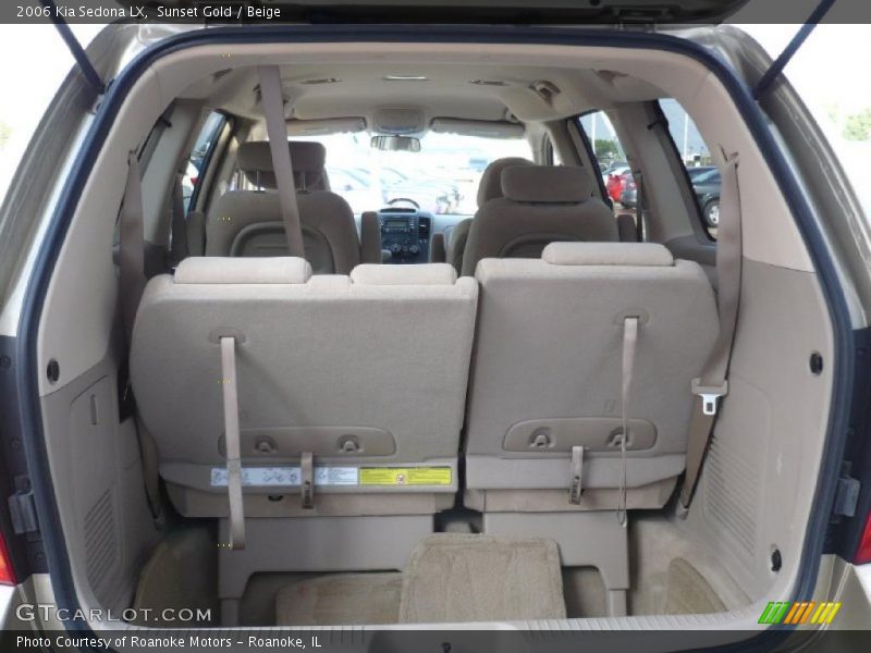 Sunset Gold / Beige 2006 Kia Sedona LX