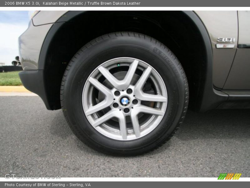 Kalahari Beige Metallic / Truffle Brown Dakota Leather 2006 BMW X5 3.0i