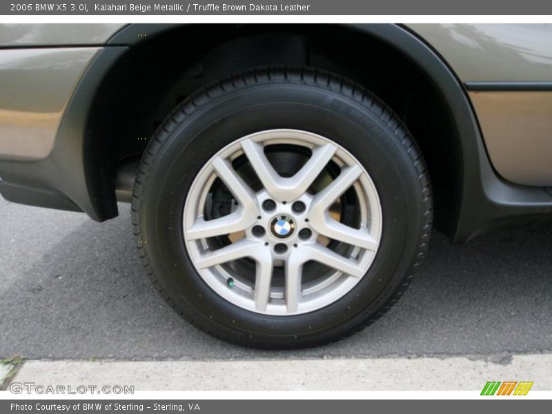 Kalahari Beige Metallic / Truffle Brown Dakota Leather 2006 BMW X5 3.0i