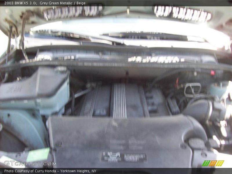 Grey Green Metallic / Beige 2003 BMW X5 3.0i