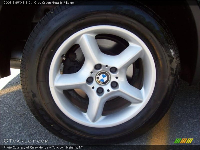 Grey Green Metallic / Beige 2003 BMW X5 3.0i