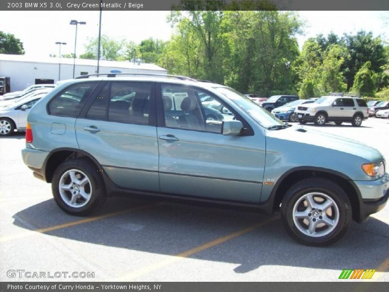 Grey Green Metallic / Beige 2003 BMW X5 3.0i