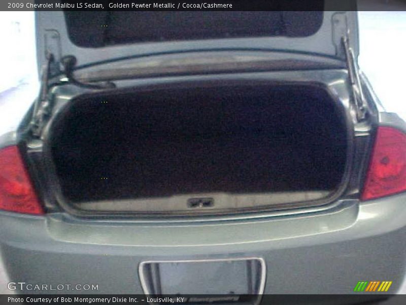 Golden Pewter Metallic / Cocoa/Cashmere 2009 Chevrolet Malibu LS Sedan
