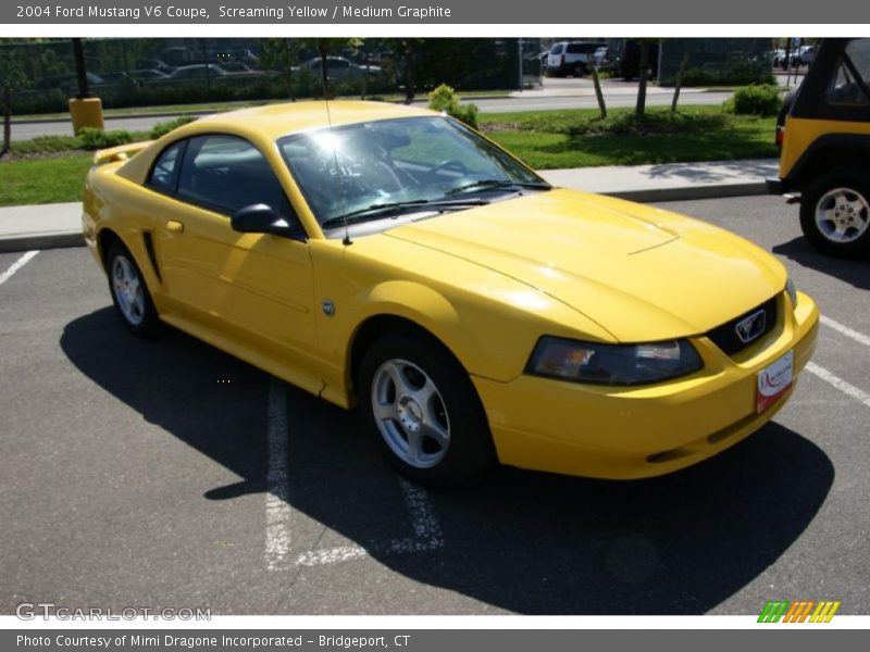 Screaming Yellow / Medium Graphite 2004 Ford Mustang V6 Coupe