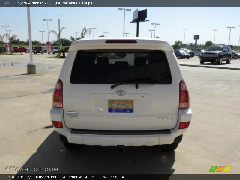 Natural White / Taupe 2005 Toyota 4Runner SR5