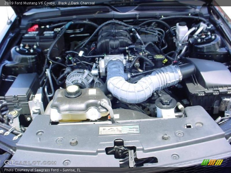 Black / Dark Charcoal 2009 Ford Mustang V6 Coupe